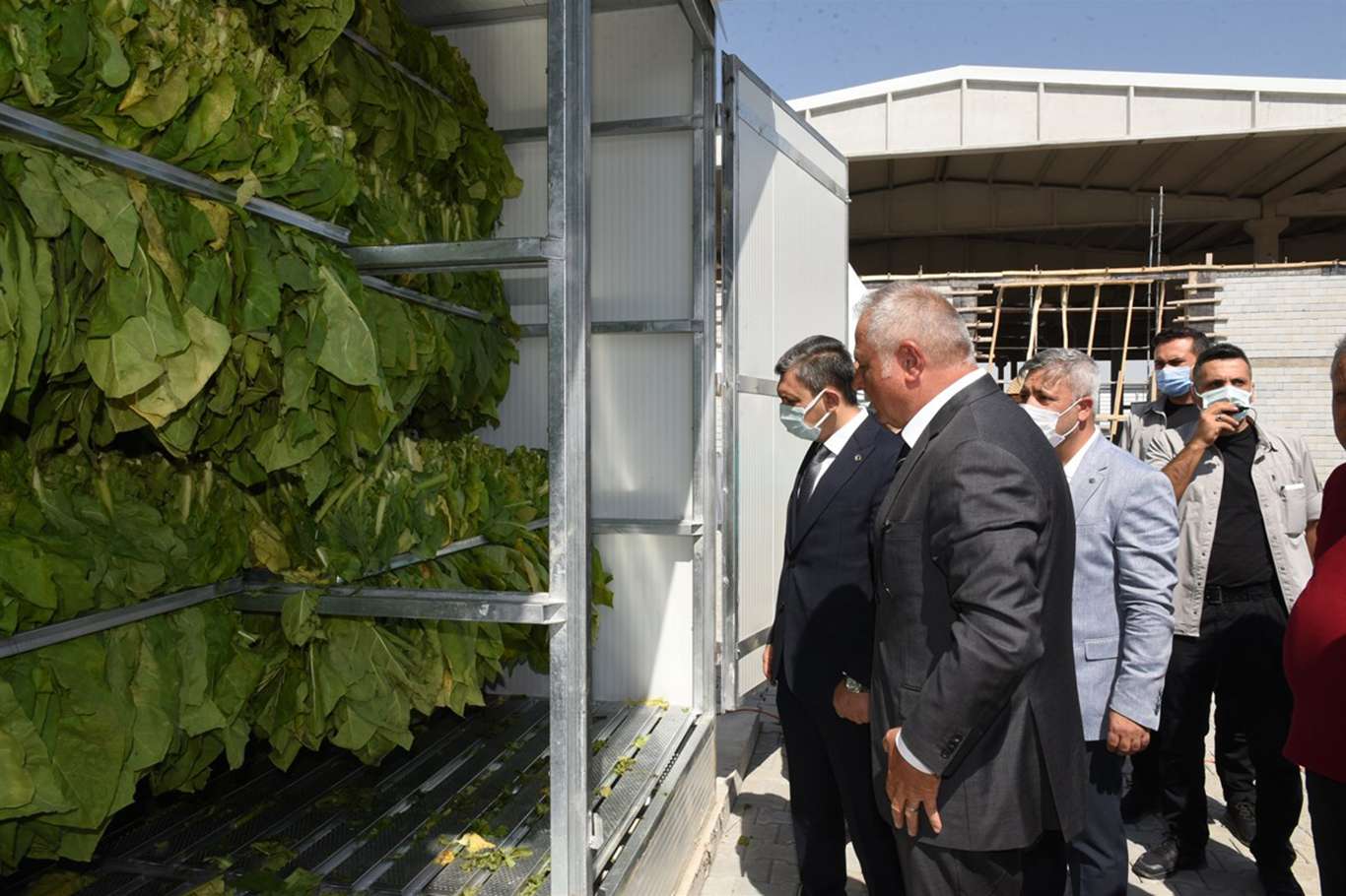 Batman’da tütün kurutma fabrikası açıldı Batman’da tütün kurutma fabrikası açıldı